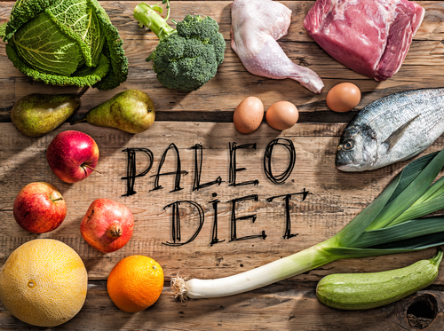 The Paleo Diet, is it a healthy option?
